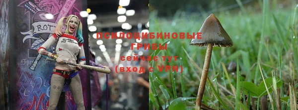прущая мука Кукмор